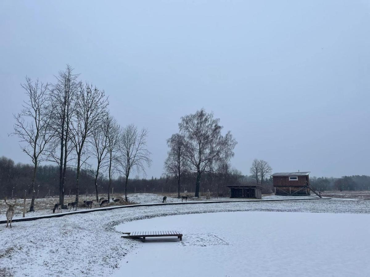 Arciau Gamtos Anyksciai Villa Kurkliai Exterior foto